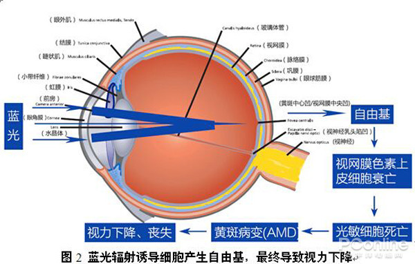 為什么我的眼里常含淚水？原來都是被LED燈給閃的